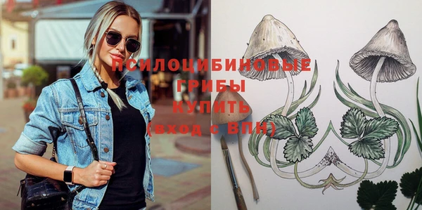 бошки Богородицк