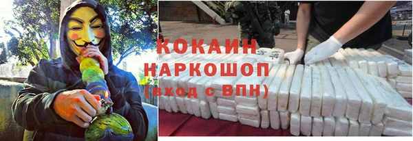 бошки Богородицк