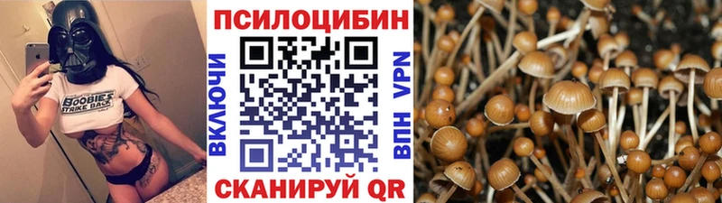 Галлюциногенные грибы Magic Shrooms  Чулым 